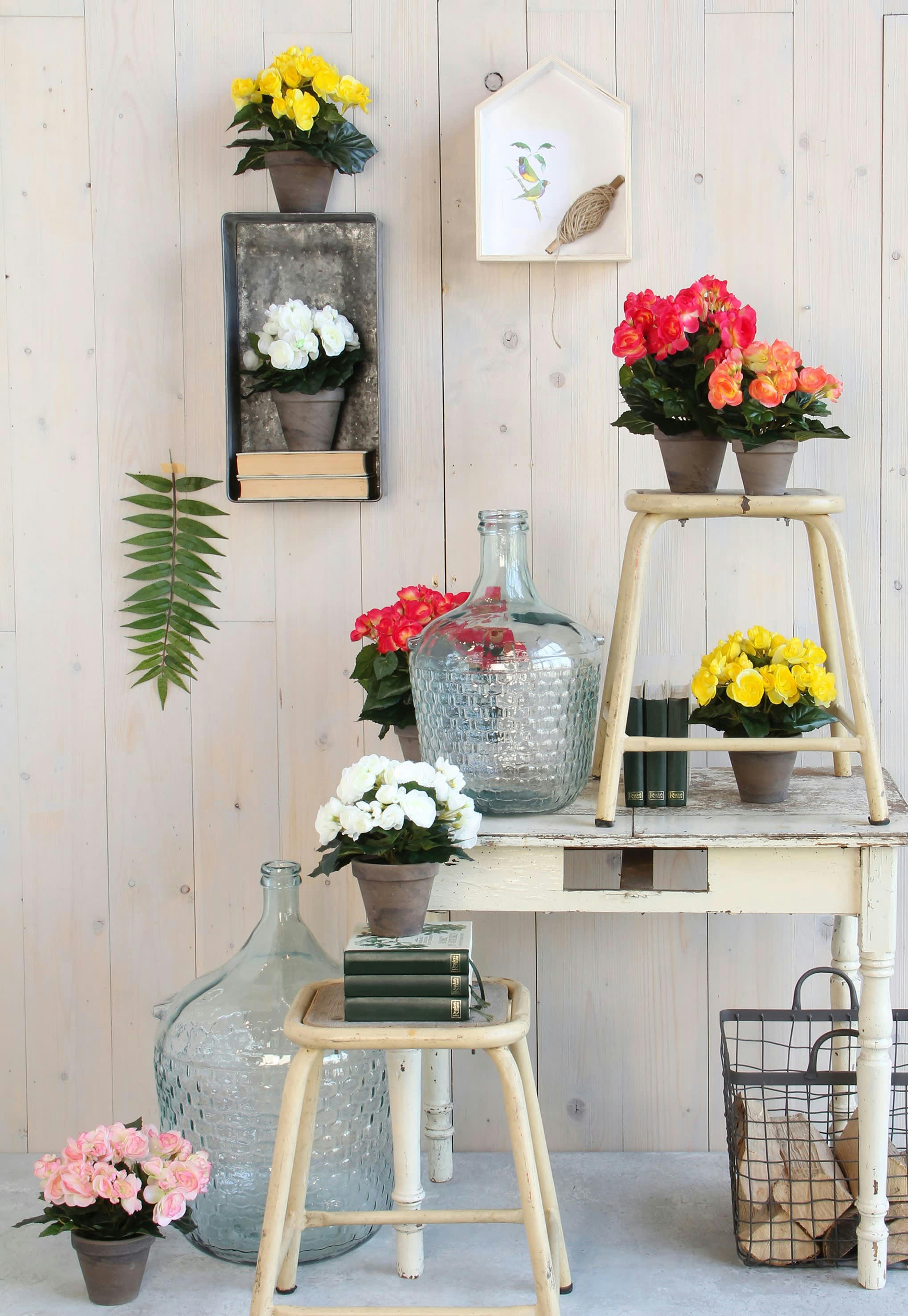 - Bégonia artificielle blanc en pot H30