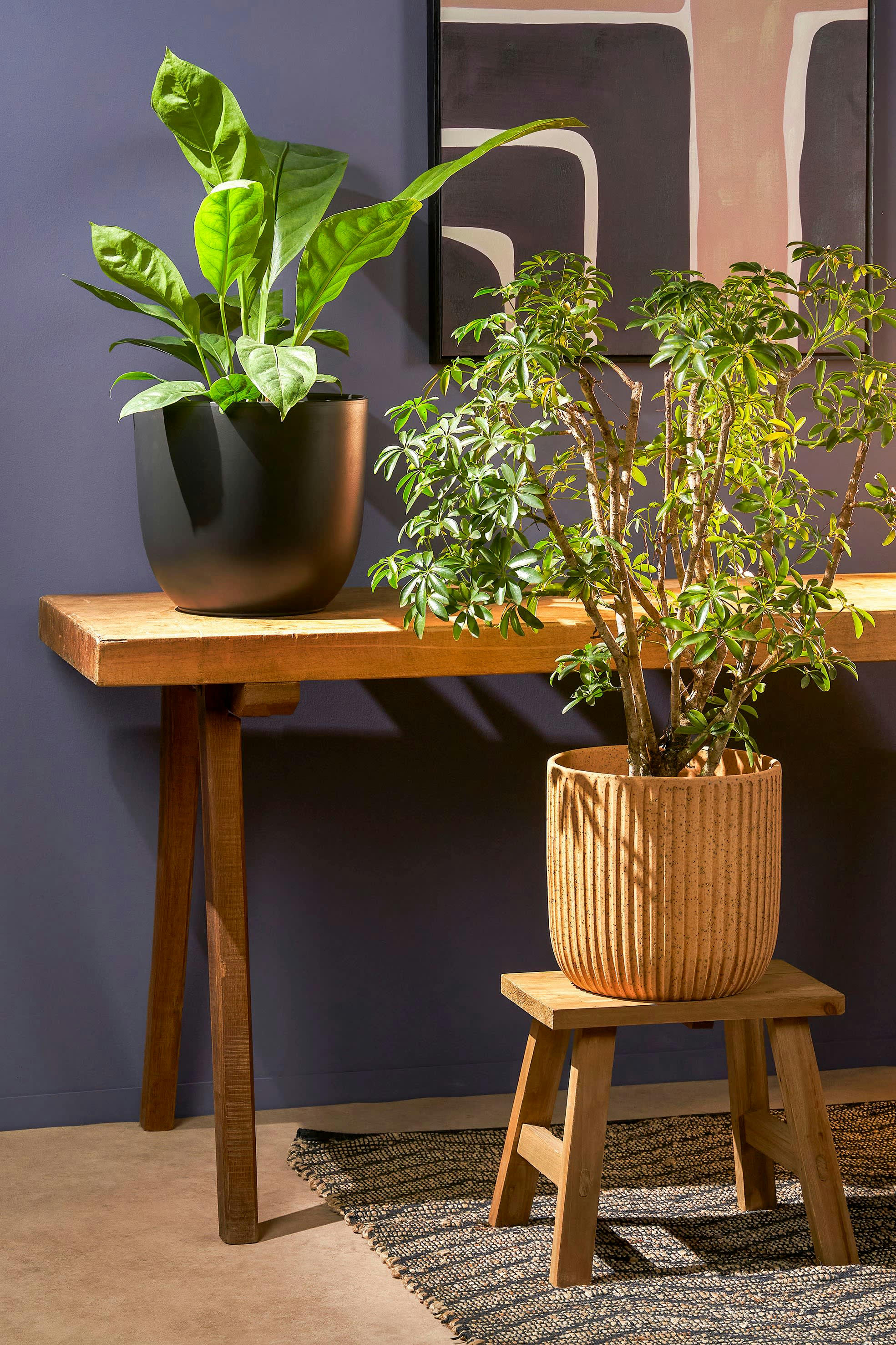 BOLD - Tabouret en bois recyclé L38