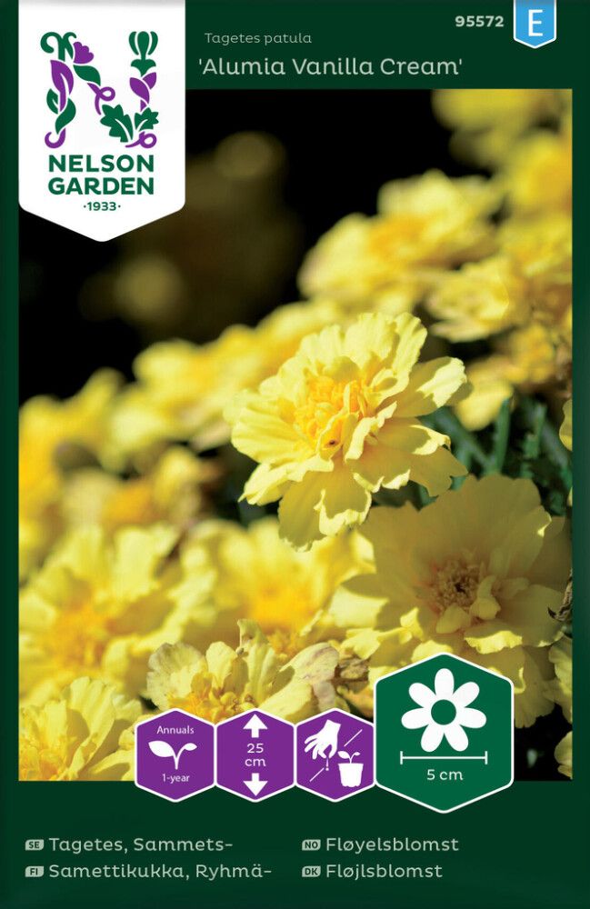 BLOMSTERFRØ NELSON GARDEN FLØYELSBLOMST ALUMIA VANILLA CREAM