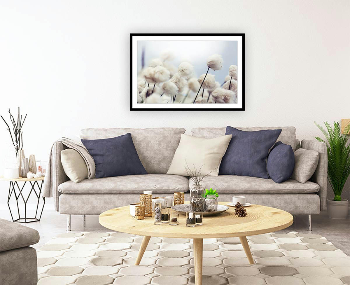- Affiche fleurs de coton au vent avec cadre 30x20cm