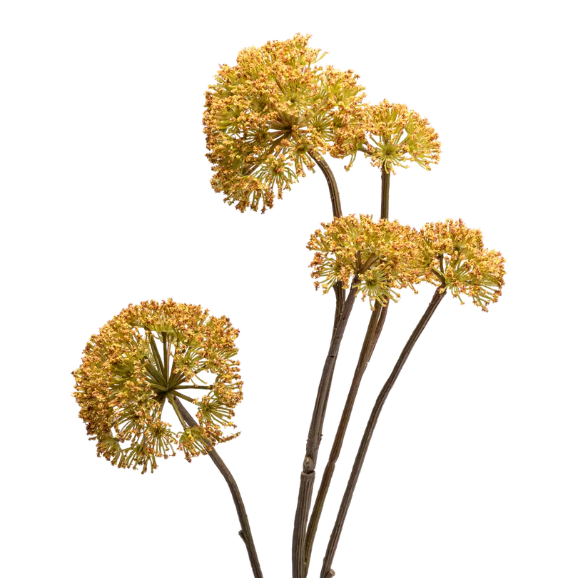 Dekozweig Dried-Grass
