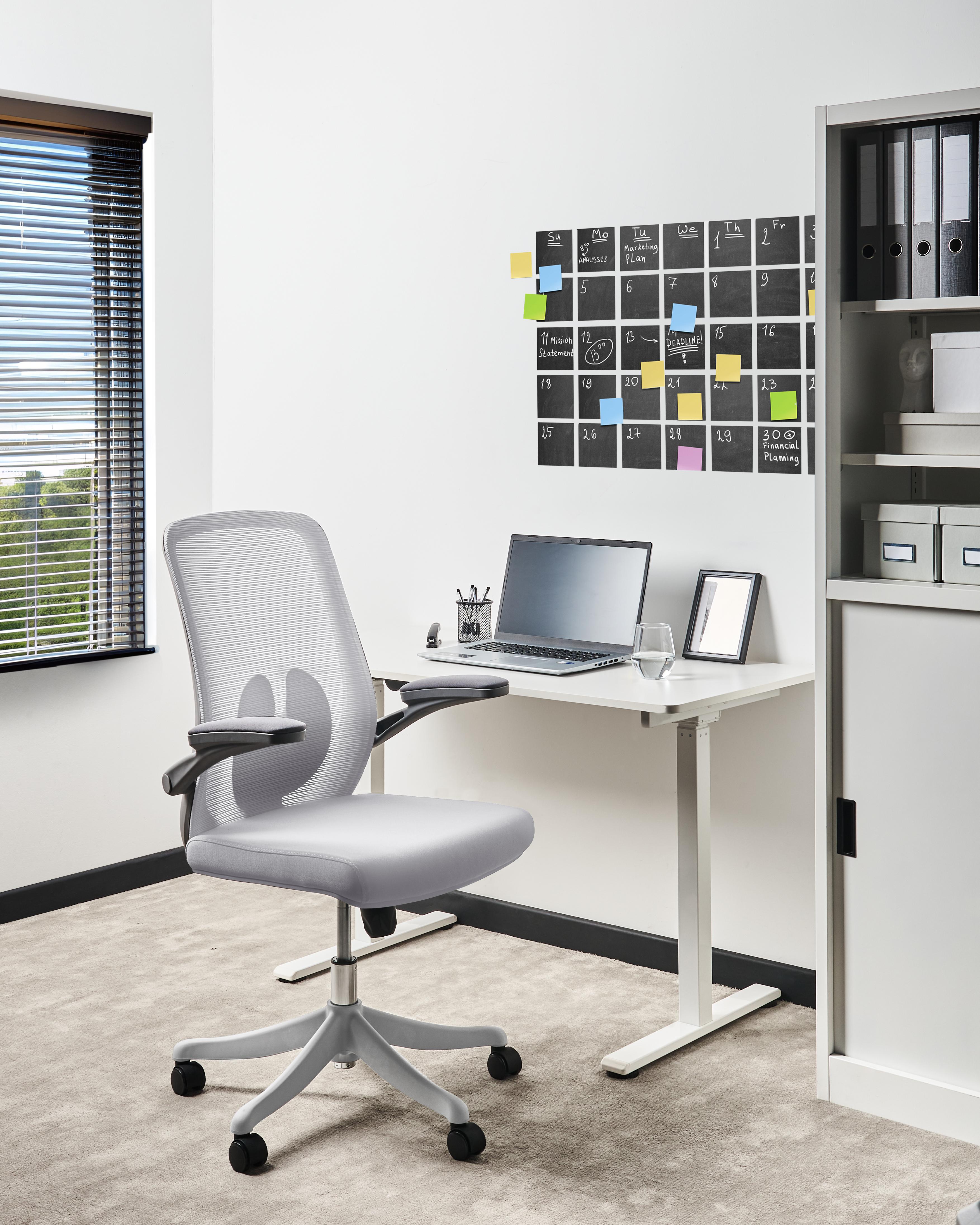 Office Chair OVERLORD Grey