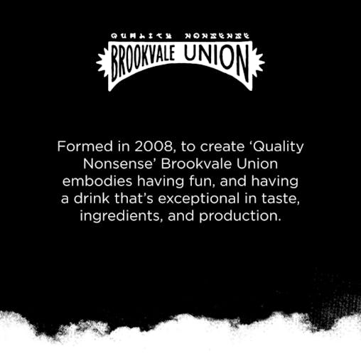 Brookvale Union Alcoholic Ginger Beer, Spicy & Smooth Finish, 4% ABV, 330mL (Case of 24 Cans)