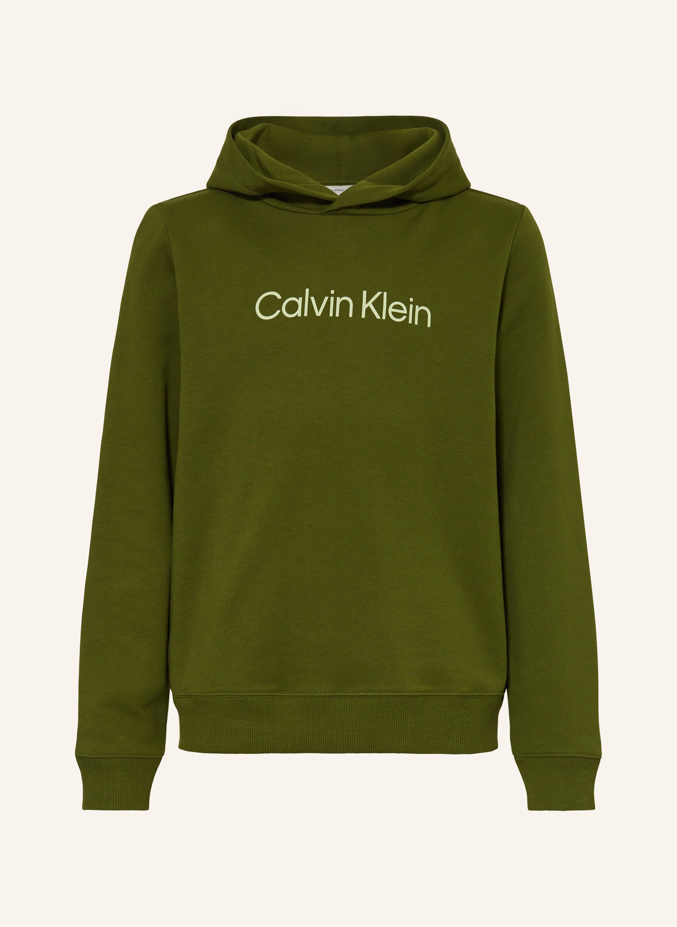 Calvin Klein Hoodie LOGO REG