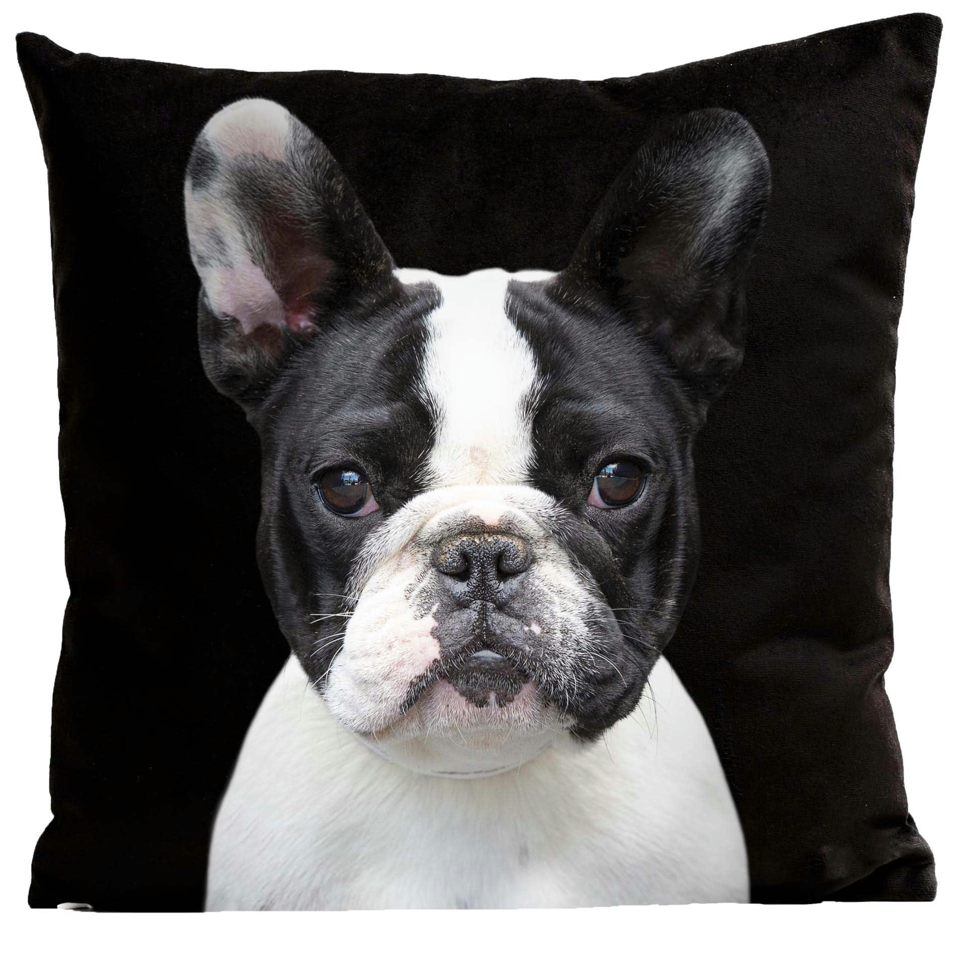 - Coussin chien bouledogue suédine noir 40x40cm