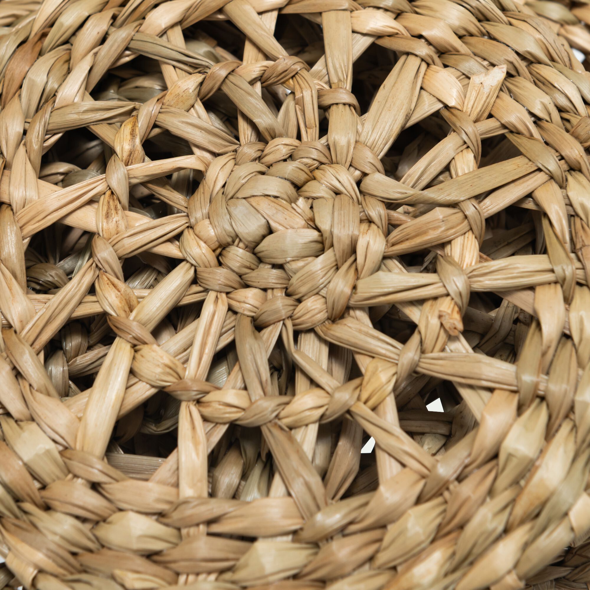 TRESSE - Lot de 6 dessous de verre en jonc de mer - naturel