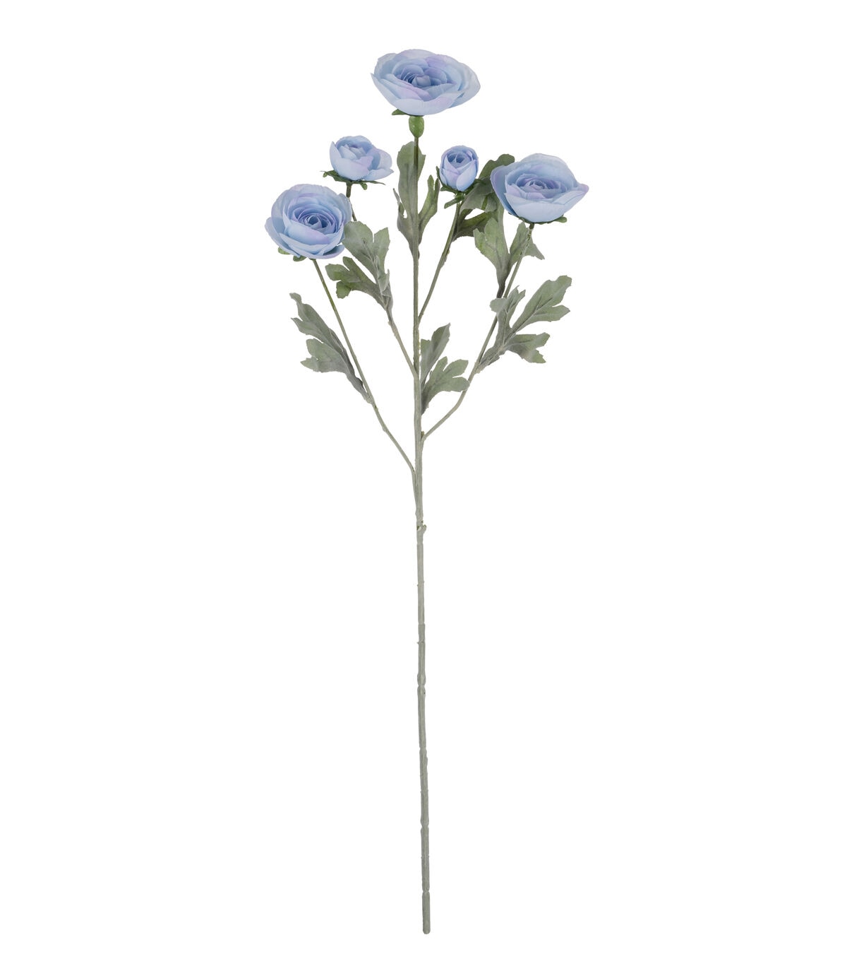 27 Blue Ranunculus Stem by Bloom Room