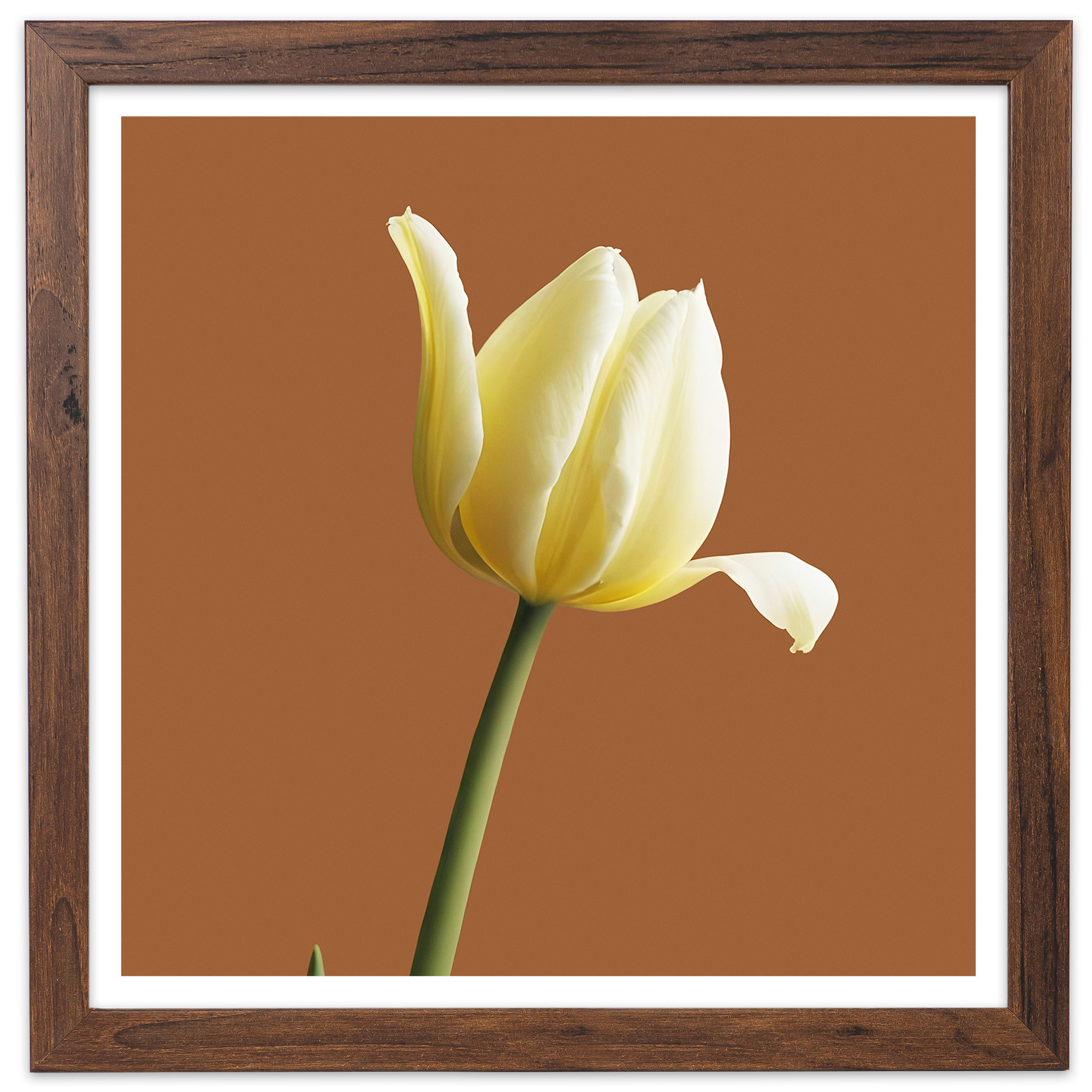 Brązowa ramka na zdjęcia 30x30 cm kwadratowa rama FRAMAI®