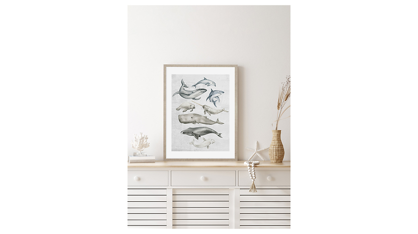 Obraz w ramie Ocean Fish In Pastels 53x73 cm