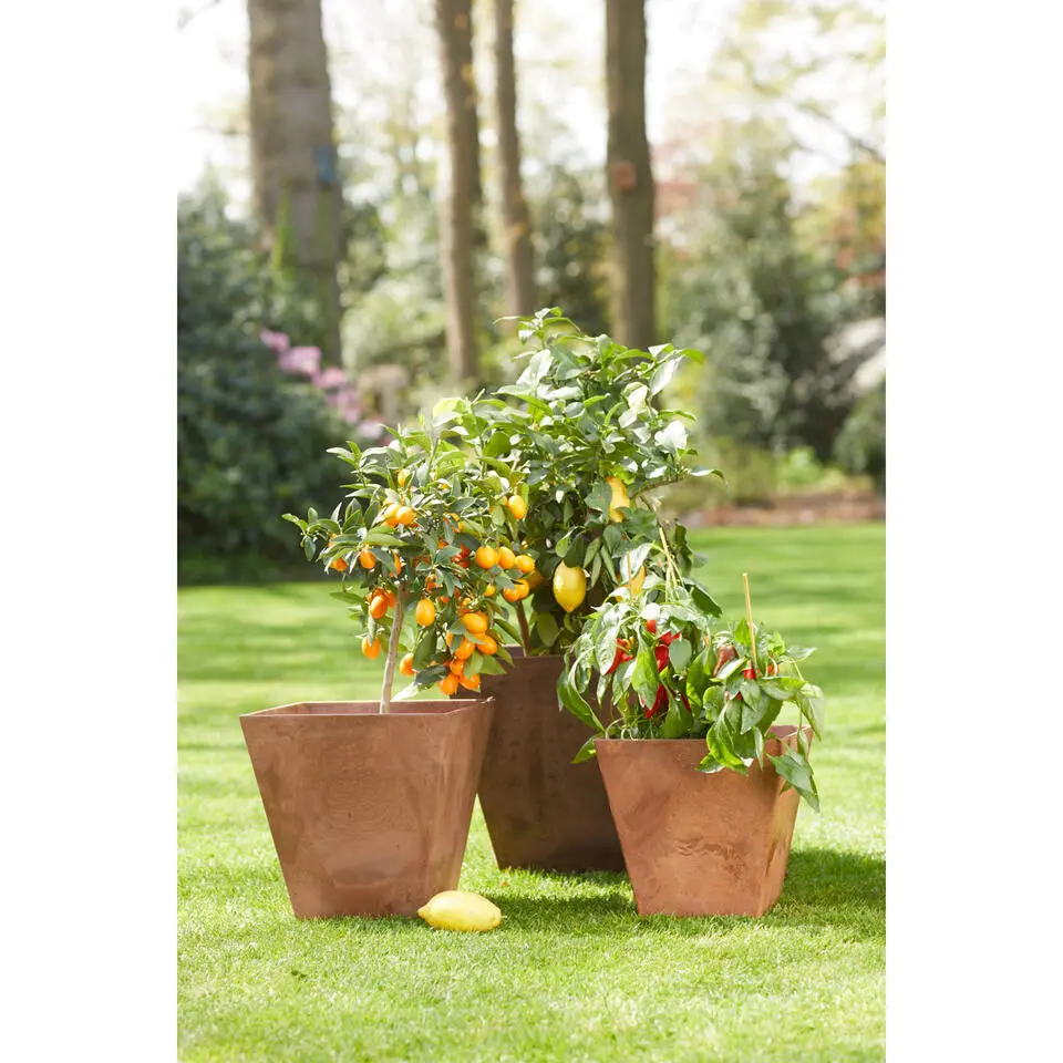 Ter Steege Plantenbak - gerecycled kunststof - bruin - 74 x 17 cm