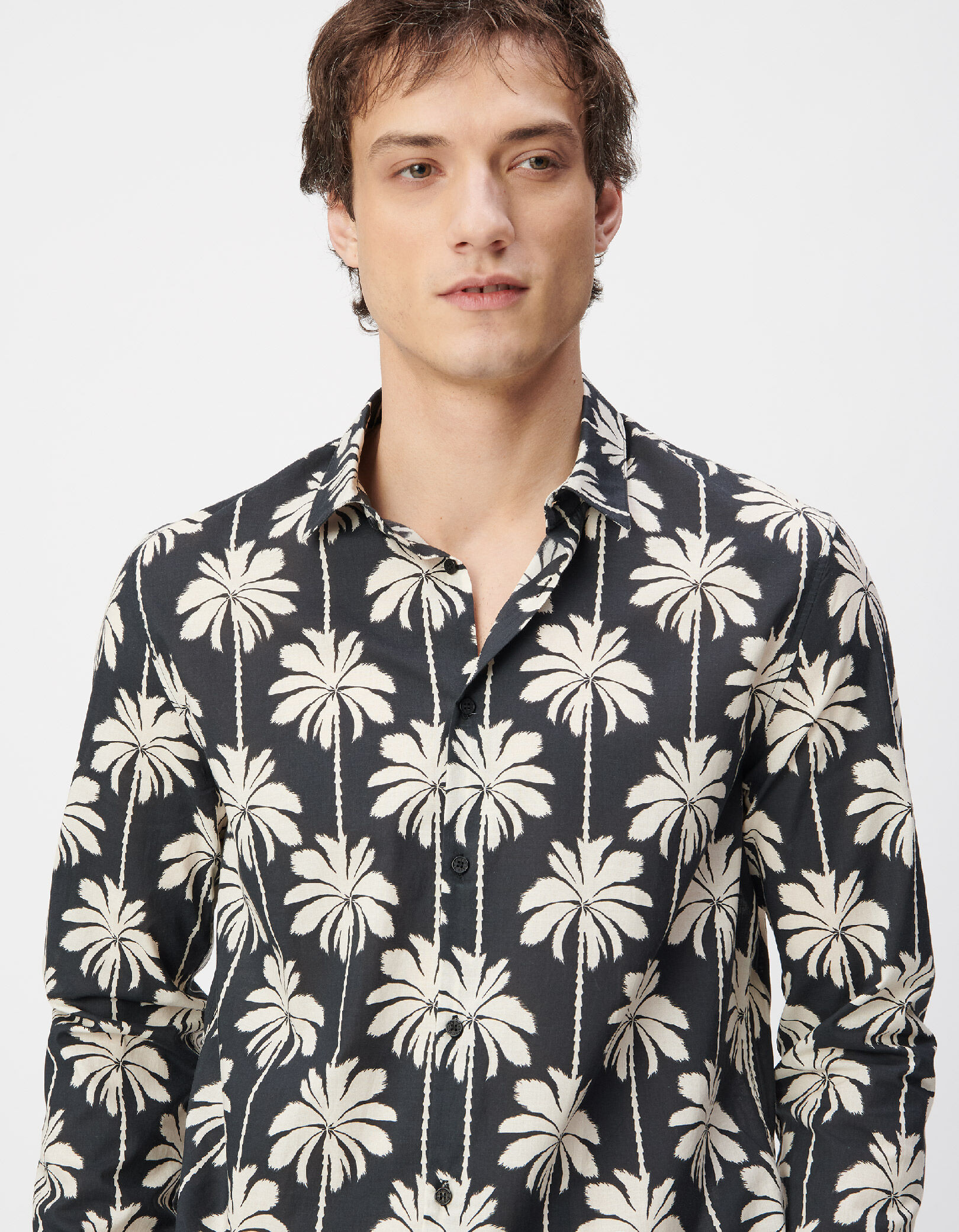 Chemise slim noire coton bio imprimé palmiers Homme