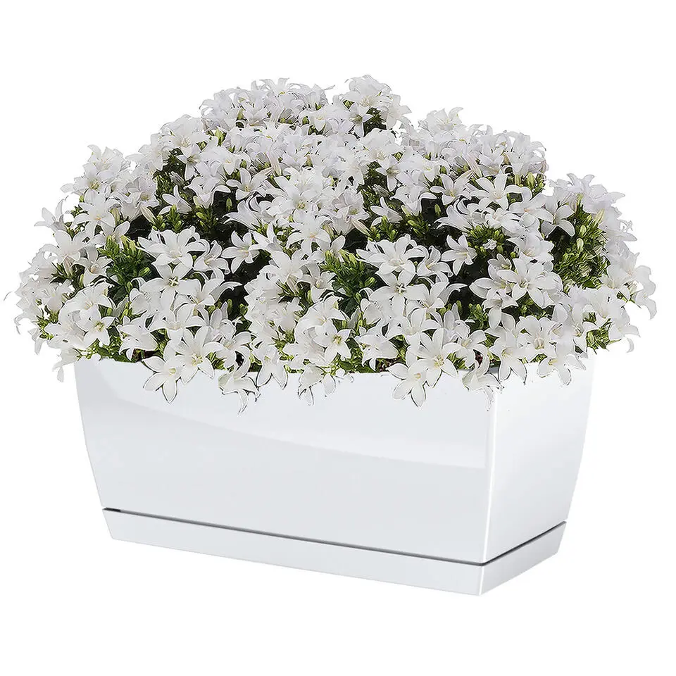 Prosperplast plantenpot - kunststof - parel wit - 40 x 19 x 18 cm