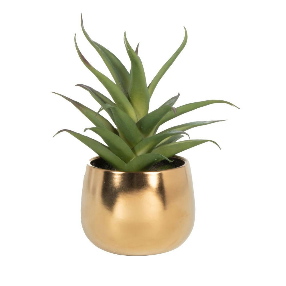 ASAR - Succulente artificielle verte et pot en grès doré