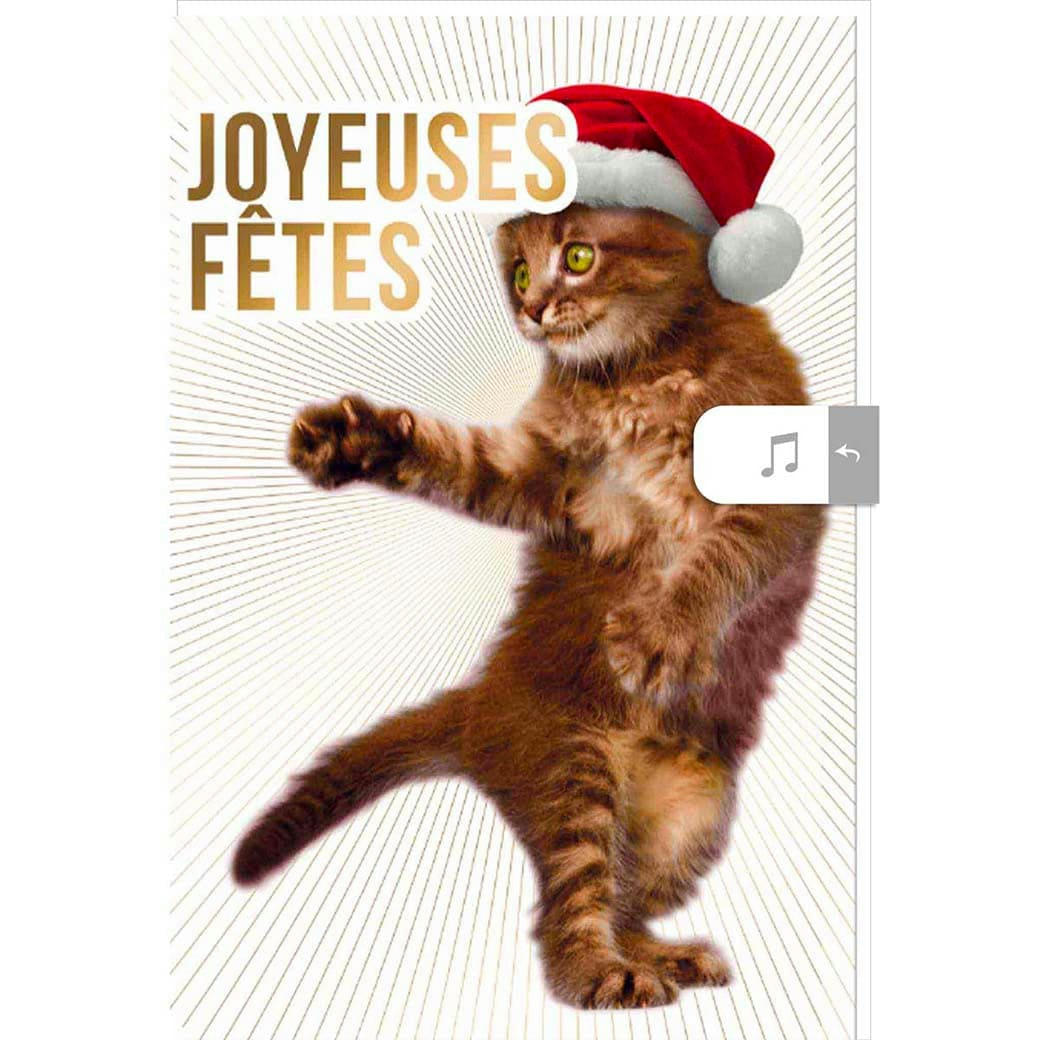 - Carte De Vœux Musicale Joyeuses Fêtes Chaton