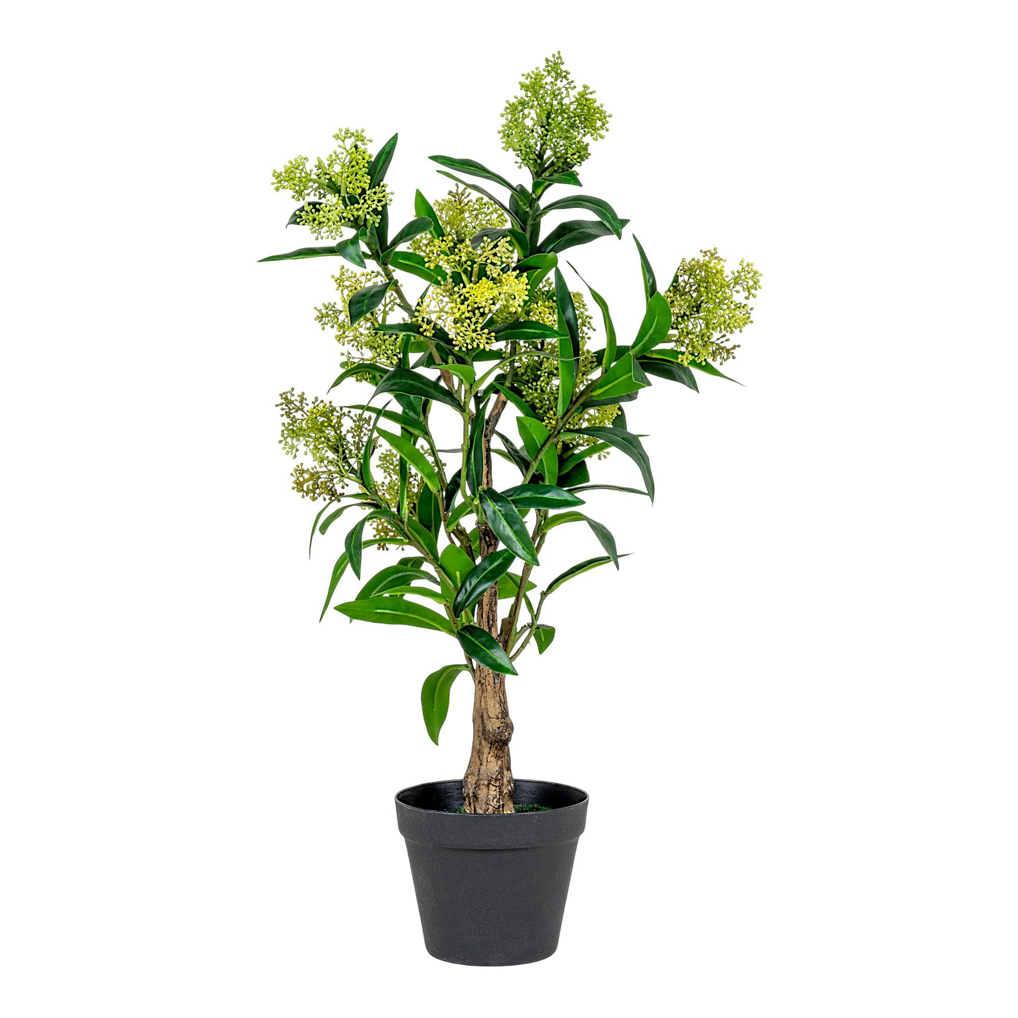 Plante artificielle skimmia en pot H 75 cm