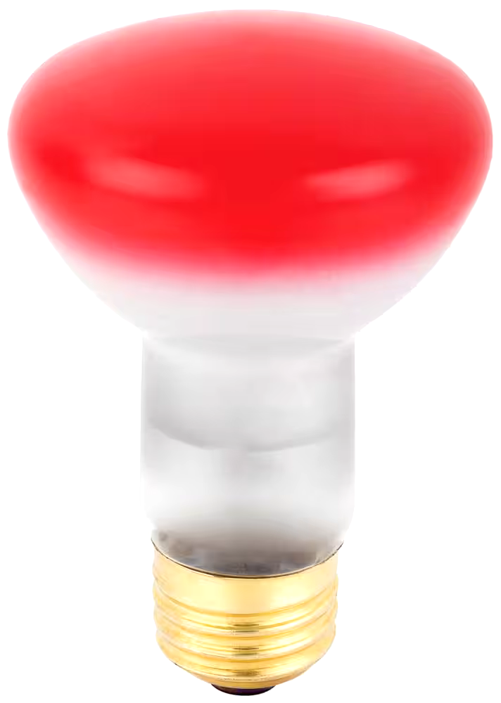 NOMA R20 E26 Base Dimmable Incandescent Flood Light Bulb, Red, 50W