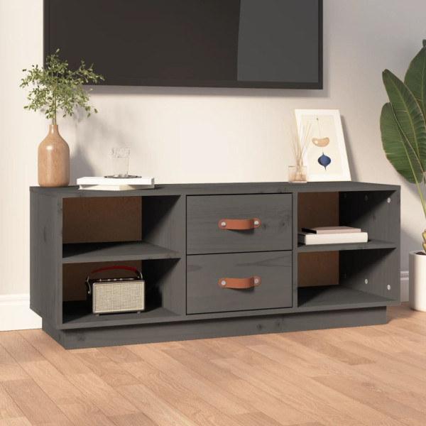Szafka pod Telewizor Rtv Szary Mat Nowoczesny Salon 100x34x40cm