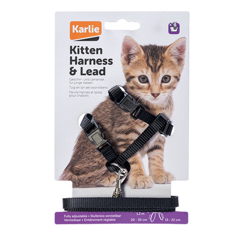 Kitten Harness with Lead