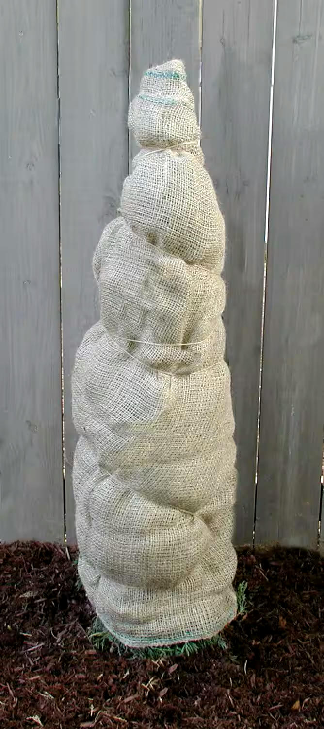 Quest Heavy-Duty Jute Twine For Fastening Applications, 300-ft