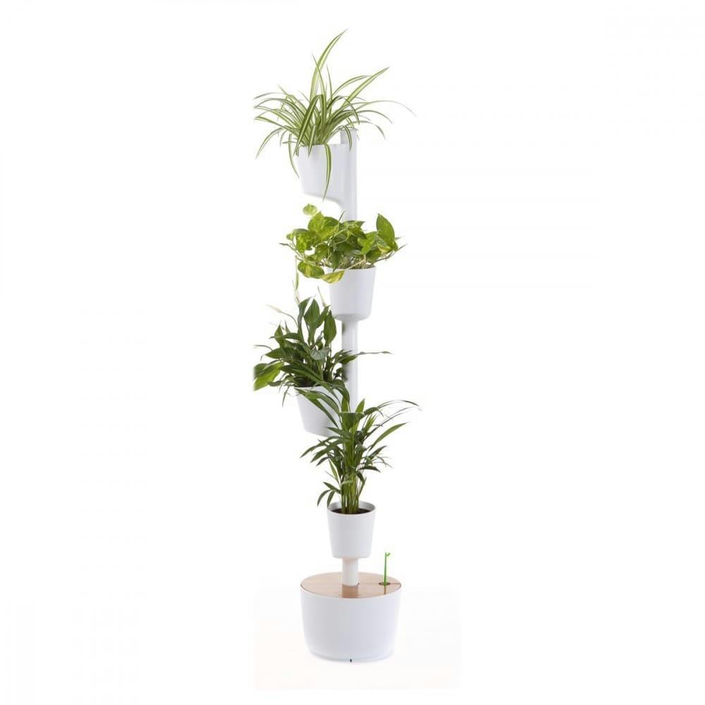 - Jardin d'intérieur avec 4 plantes dépolluantes et arrosage auto blanc