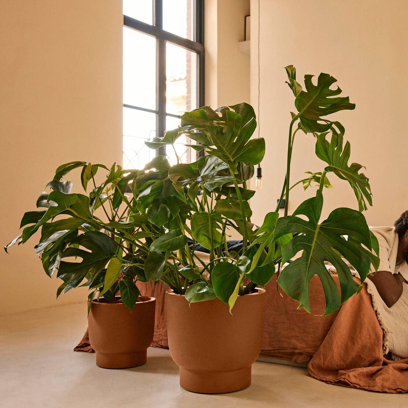 Elho Amber Grail 47 - Karamel - Ø 47 x H 45 cm - Binnen en Buiten - 10