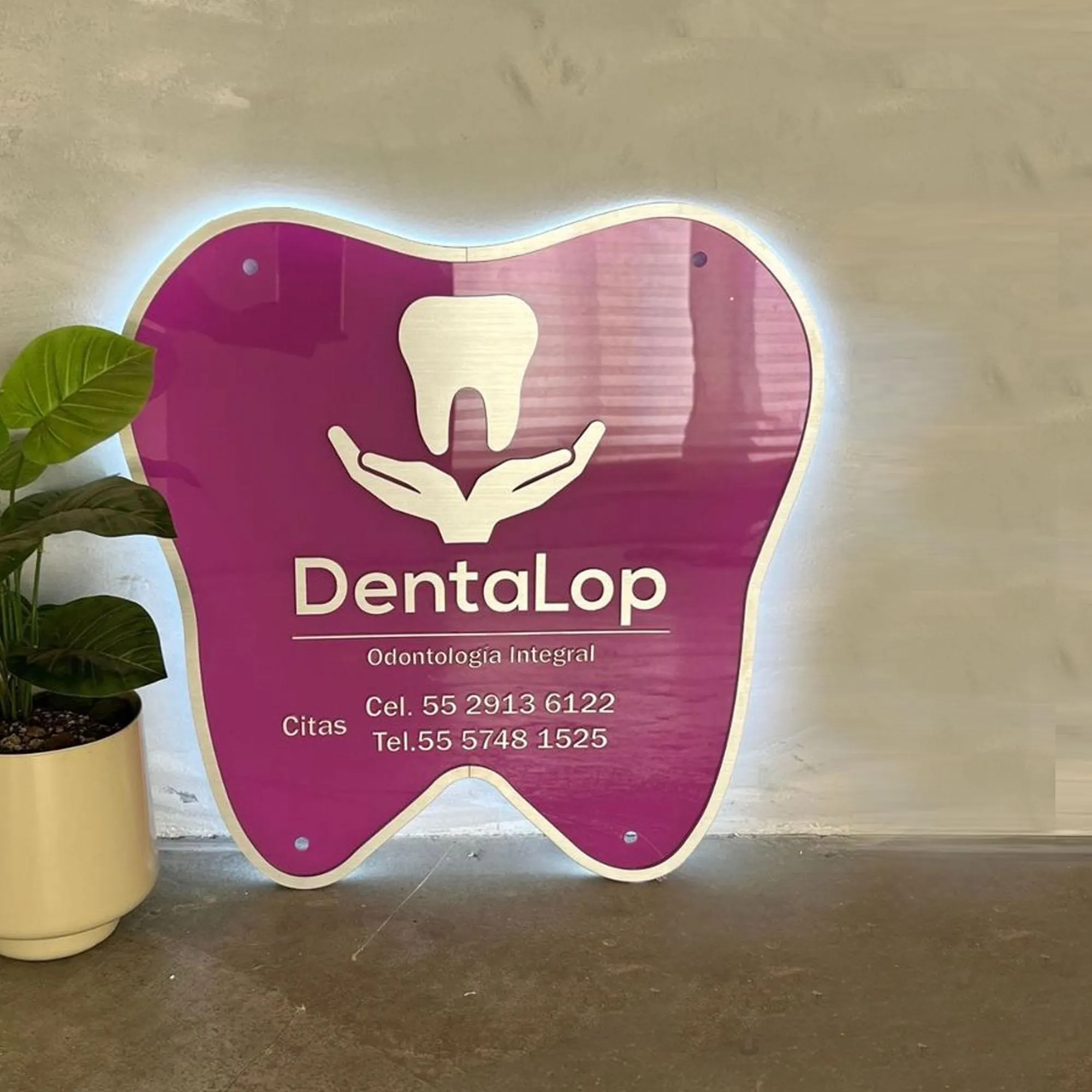 Custom Acrylic Dental Sign, Acrylic Dentist Office Sign, 3D Dental Logo, Dental Wall Decor Logo, LED Backlit Sign, Business Acrylic Sign