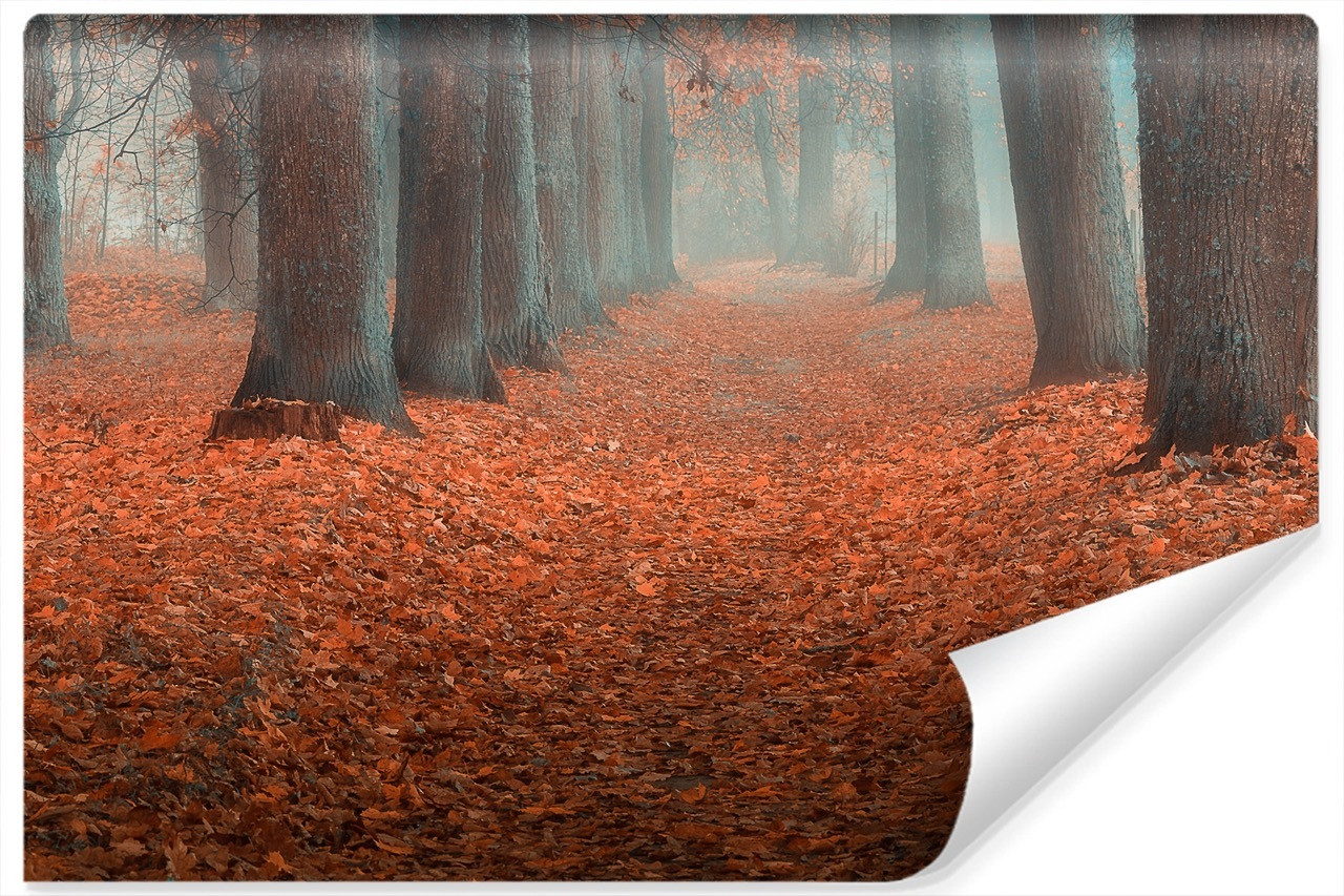 Fototapeta MGLISTY Pejzaż Kolorowe Liście 90x60cm
