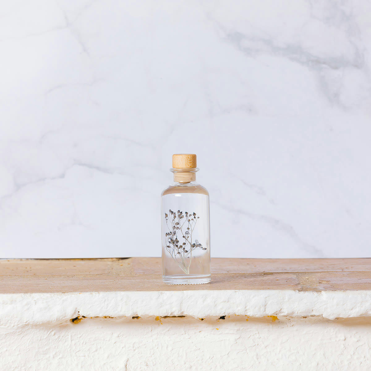 HERBARIUM DE THEOPHILE - Plante immergée Broom bleu