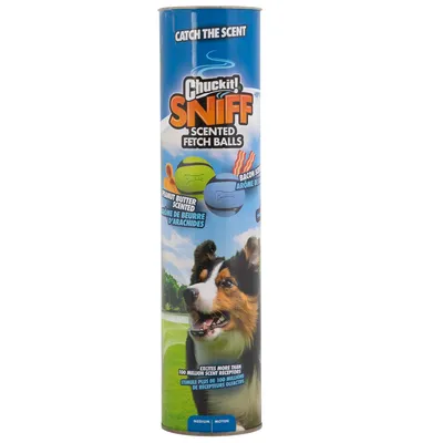 Chuckit! Sniff Fetch Balls Canister