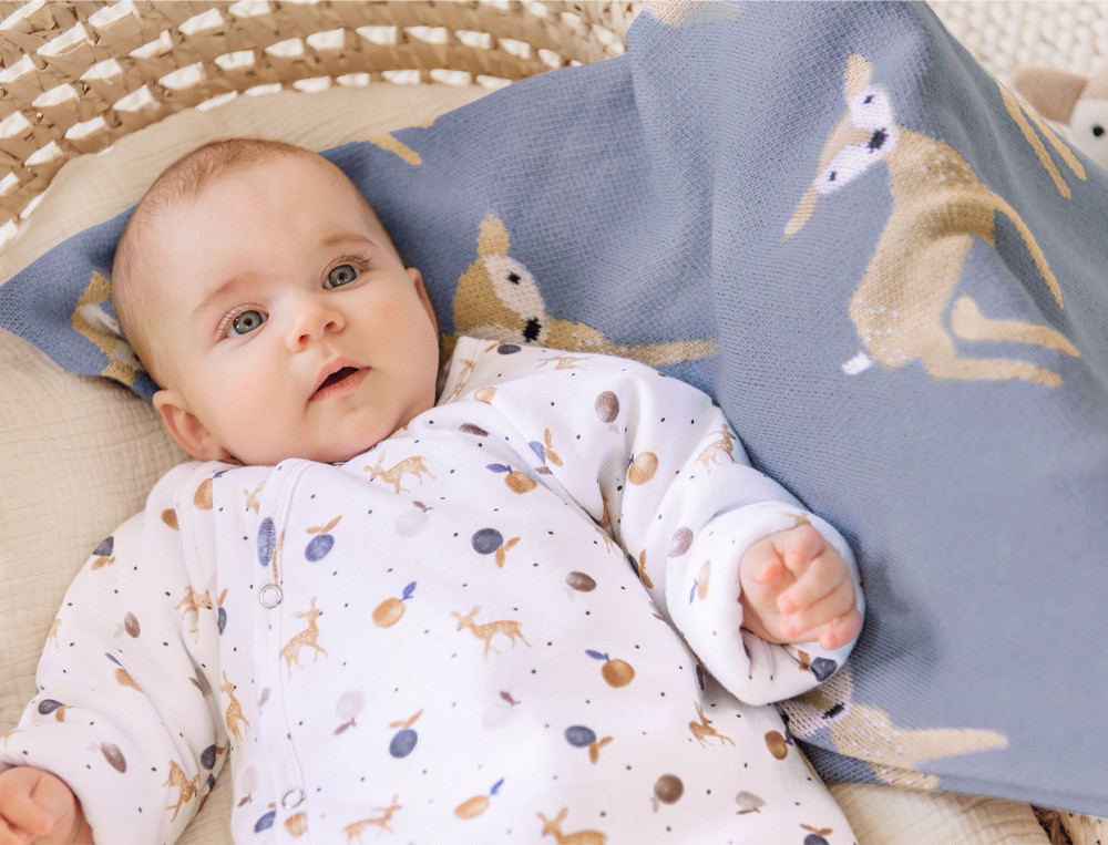 GrenouillèreDans les bois