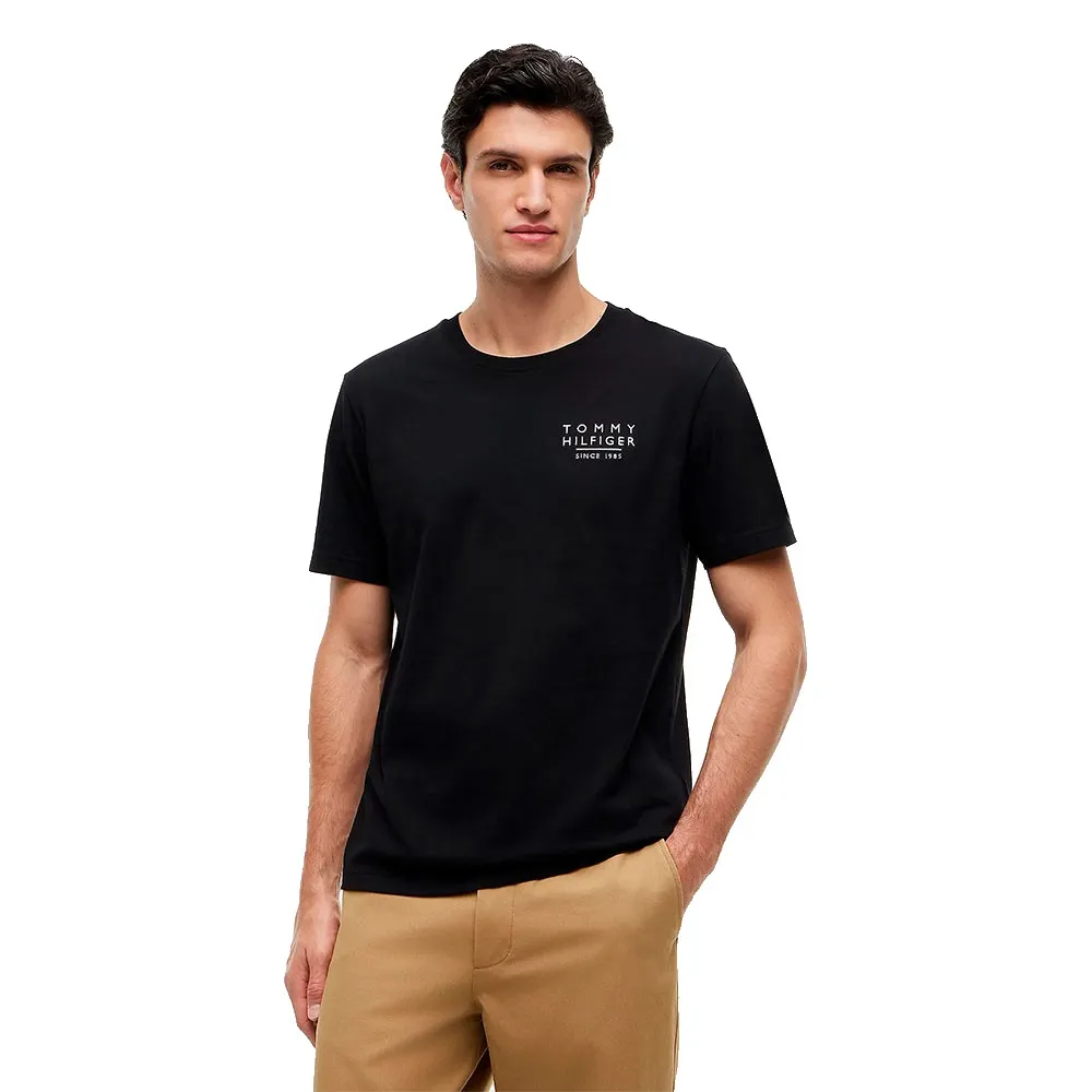 Tommy Hilfiger Americana Back Regular Fit short sleeve T-shirt