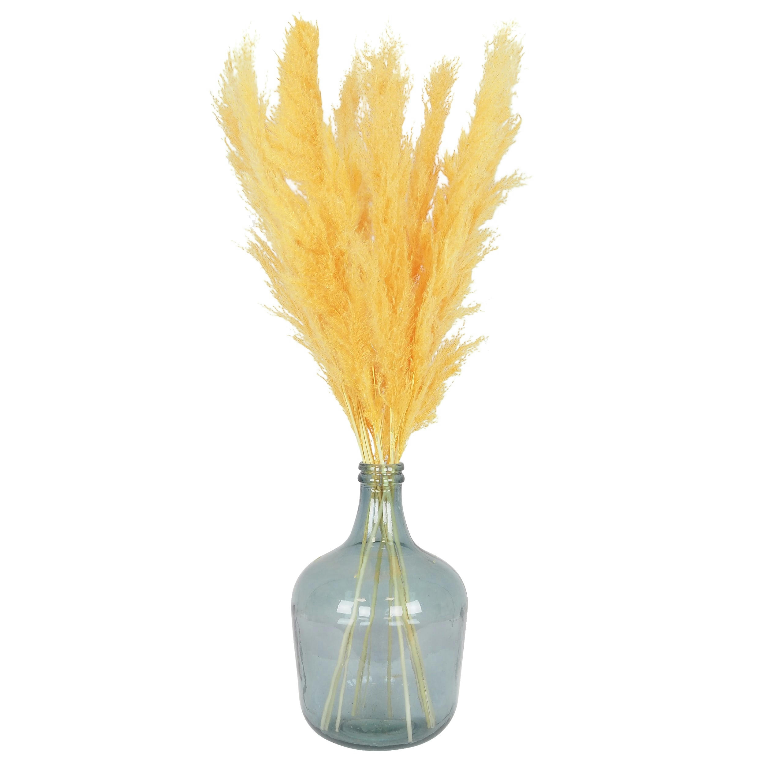 - Plumeau plante pampa lot de 9 jaune 110cm