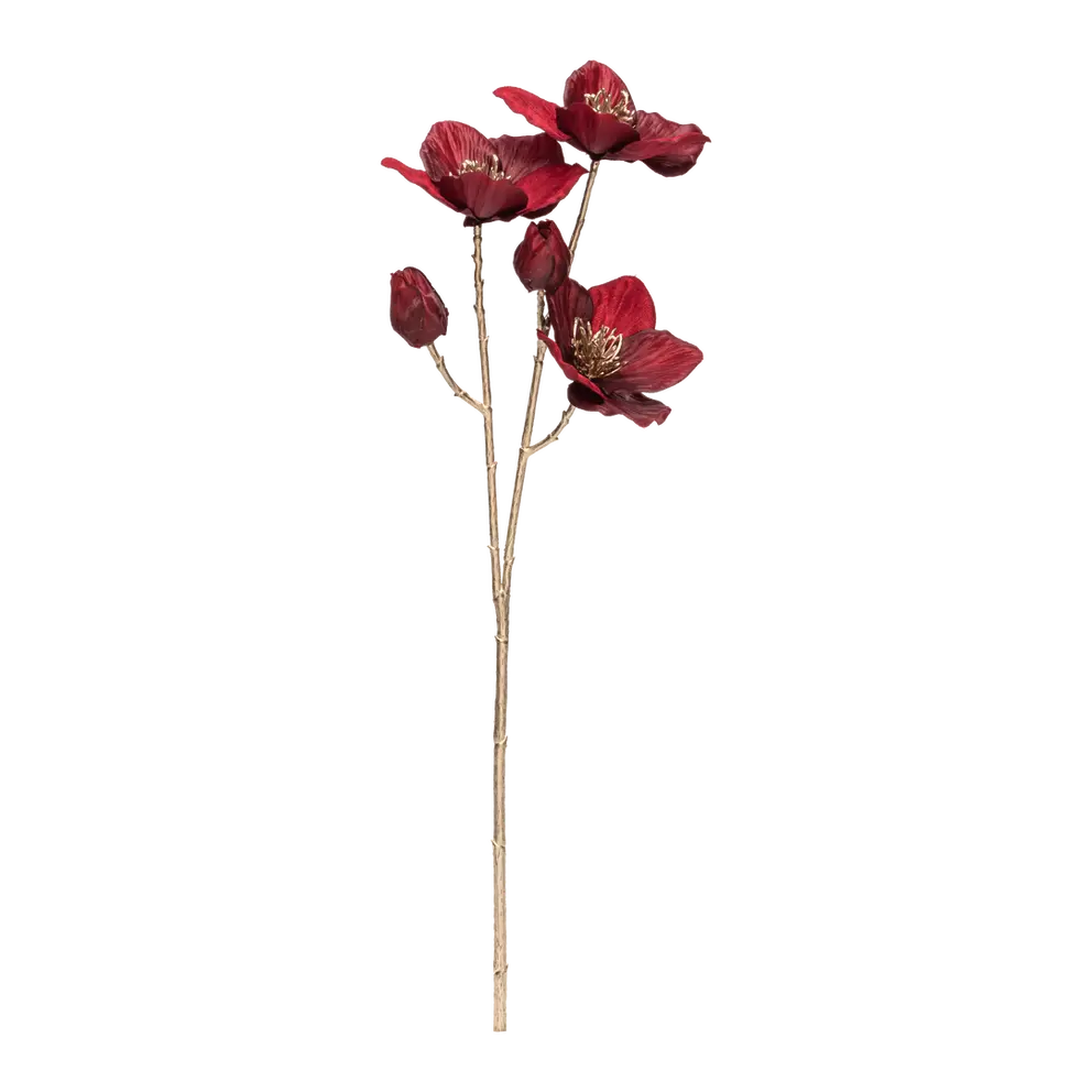 Dekozweig Exotica