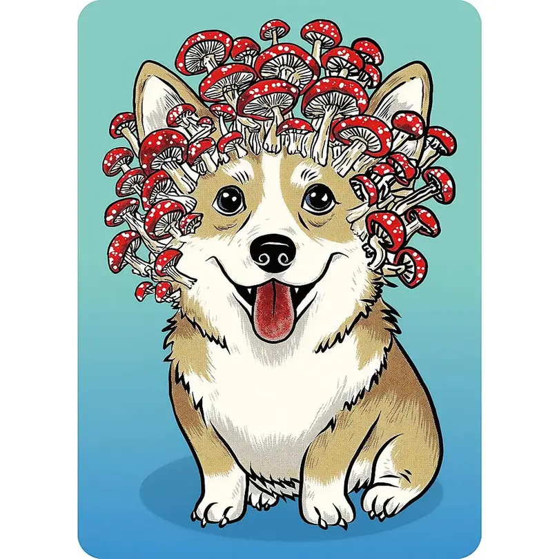 Puzzle 100-teilig Corgi-Pilz