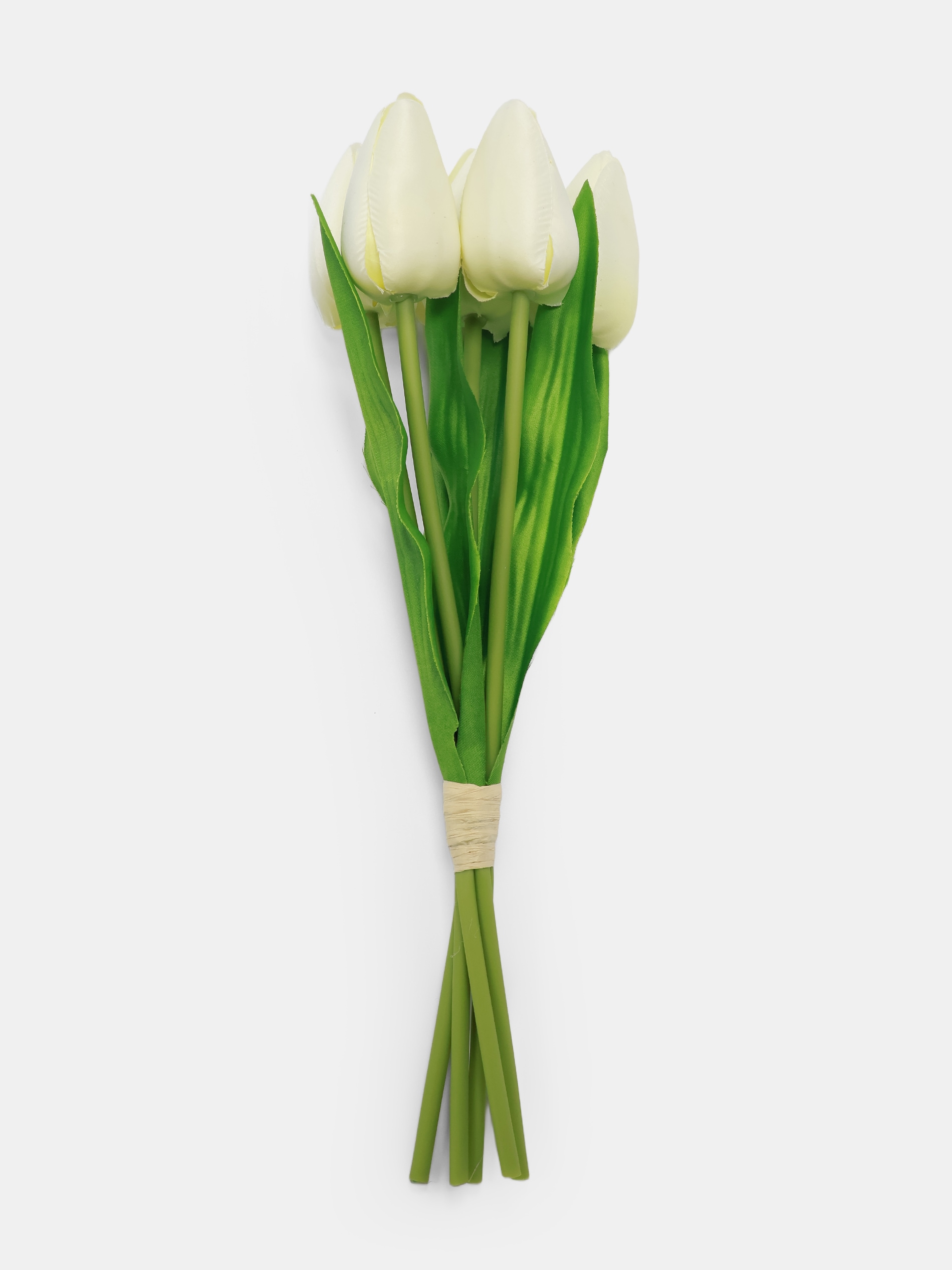Roślina ozdobna - tulipany