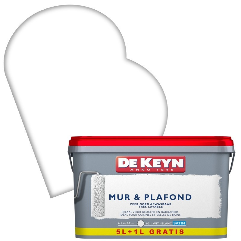 Peinture Mur & Plafond blanche satinée 5   1 L gratuit DE KEYN