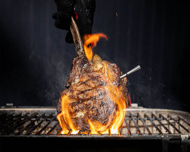 Meater Pro Single Probe Wireless Smart Meat Thermometer