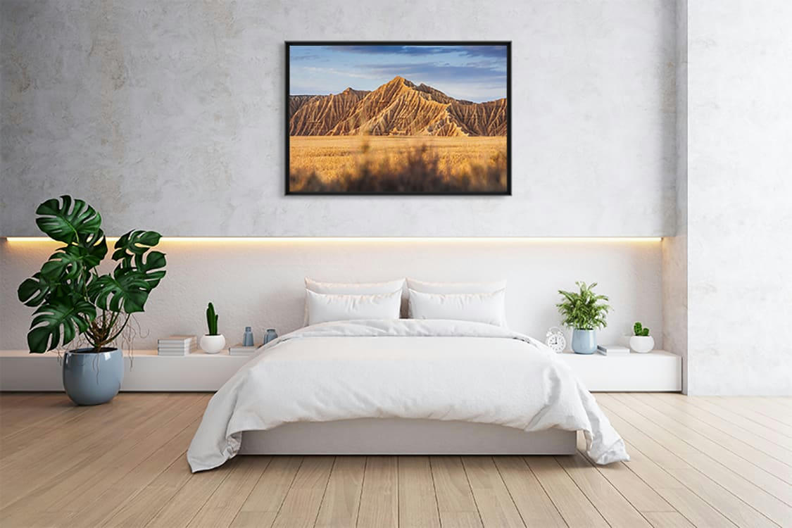 VEINES DE NAVARRE - Photographie d'art d'Hugo Grandcolas  40x60 cm sur plexi