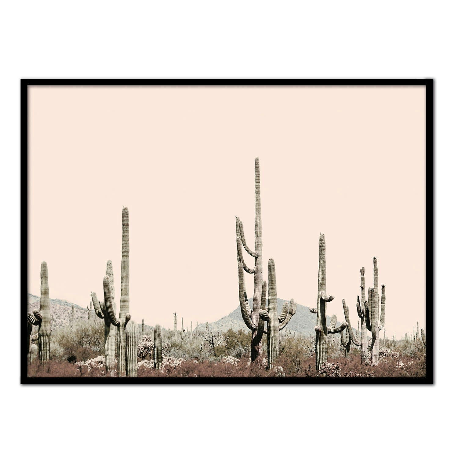 DESIERTO - Affiche avec cadre noir - Désert de l'Arizona - 30x40
