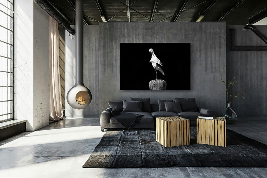 TRÔNE DE LA CIGOGNE - Photographie d'art de Guillaume Mordacq  60x90 cm sur alu