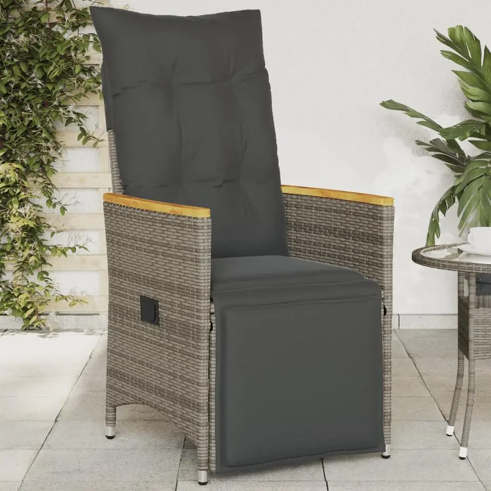 vidaXL - Tuinstoel - Grijs - Poly rattan