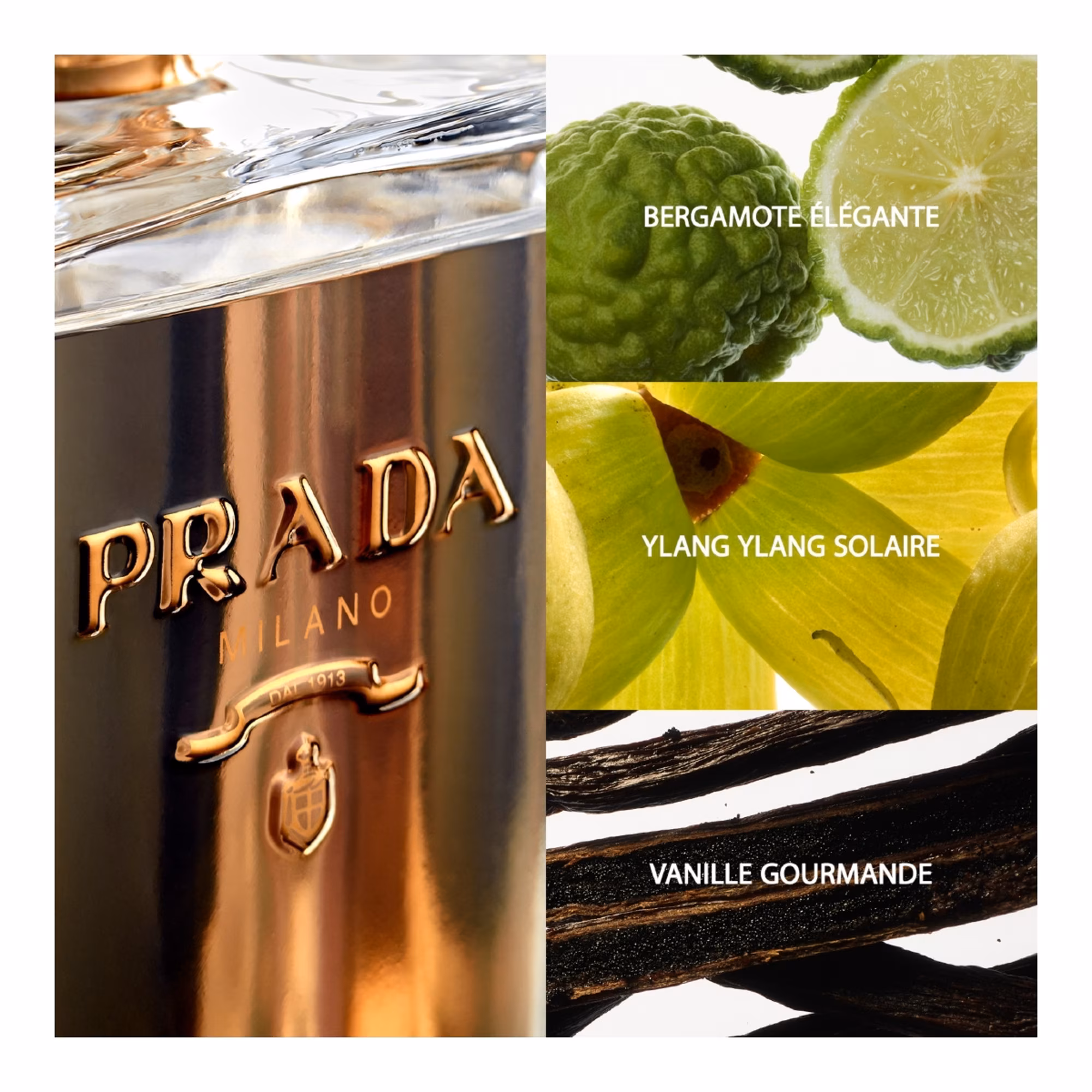 LA FEMME PRADAEau de parfum
