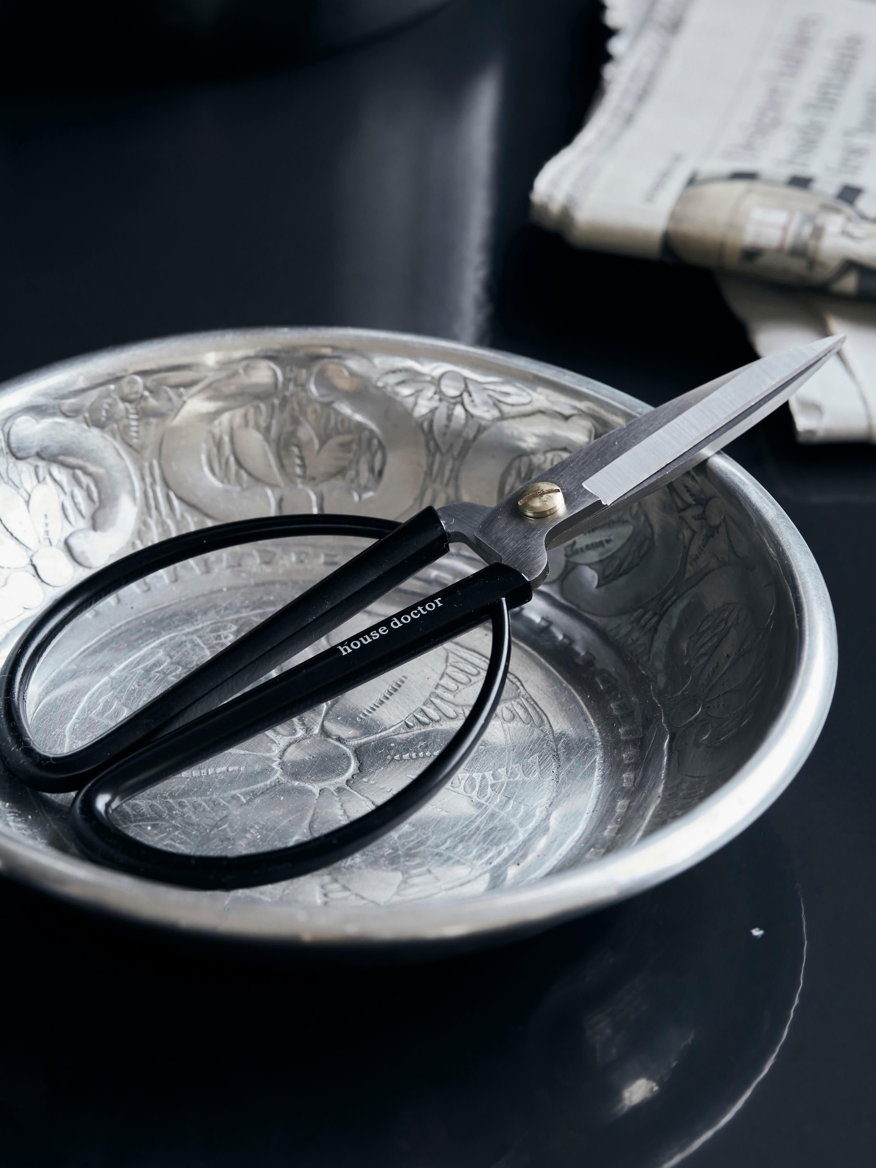 Edelstahl-Schere Shears