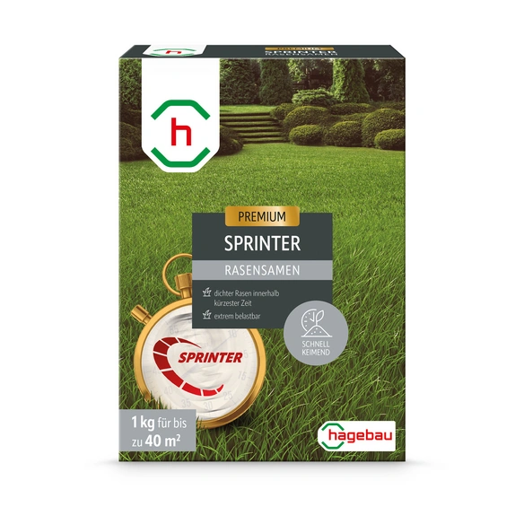 Rasen, Rasensamen Sprinterrasen 1,0Kg Karton für 40 m2