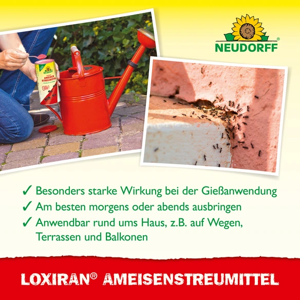 Loxiran -S- Ameisenmittel 250 g