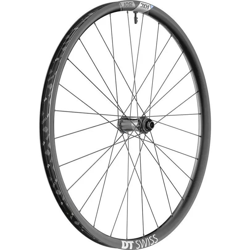 E-Bike HXC 1501 SPLINE LS