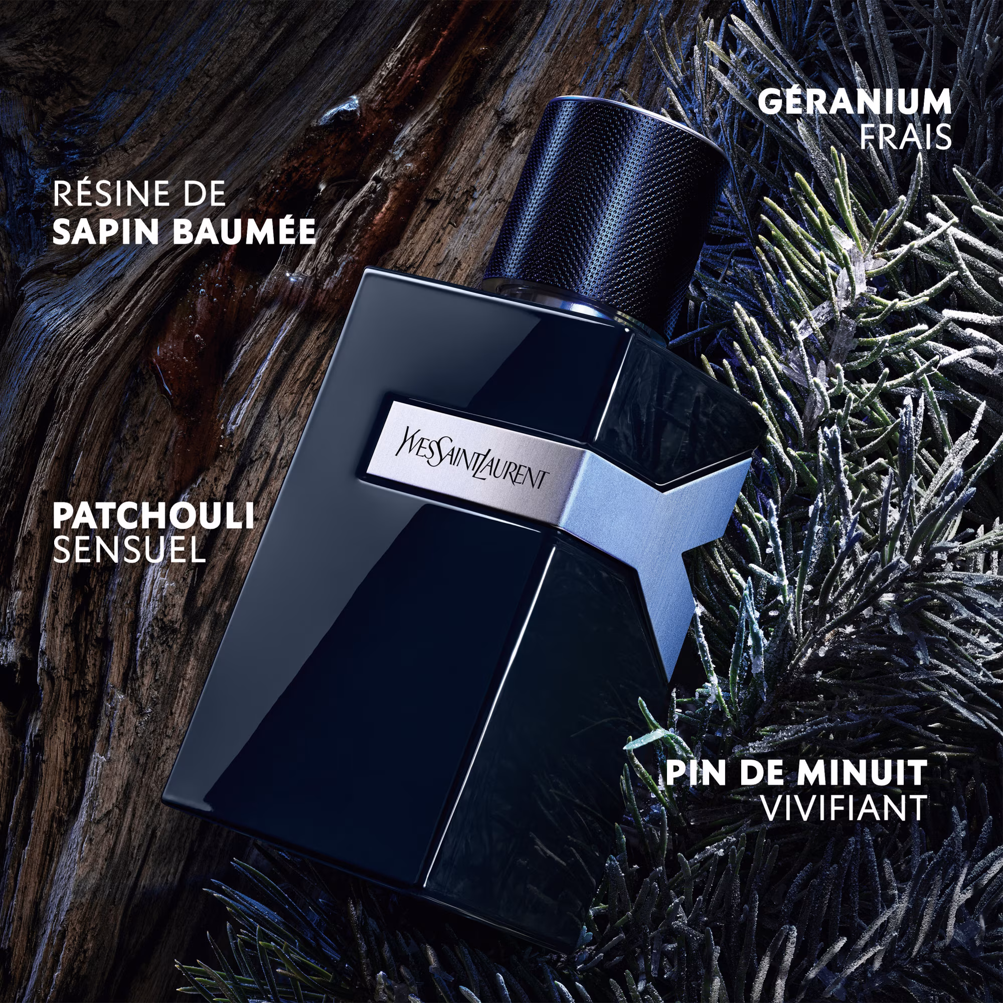 Y LE PARFUMParfum fougère ambré
