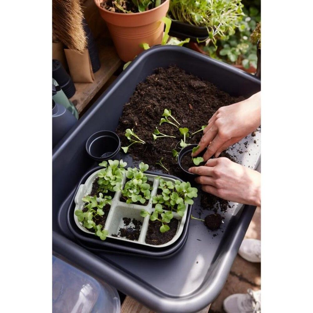 DYRKEKASSE ELHO GREEN BASIC LYSEGRØNN 22CM