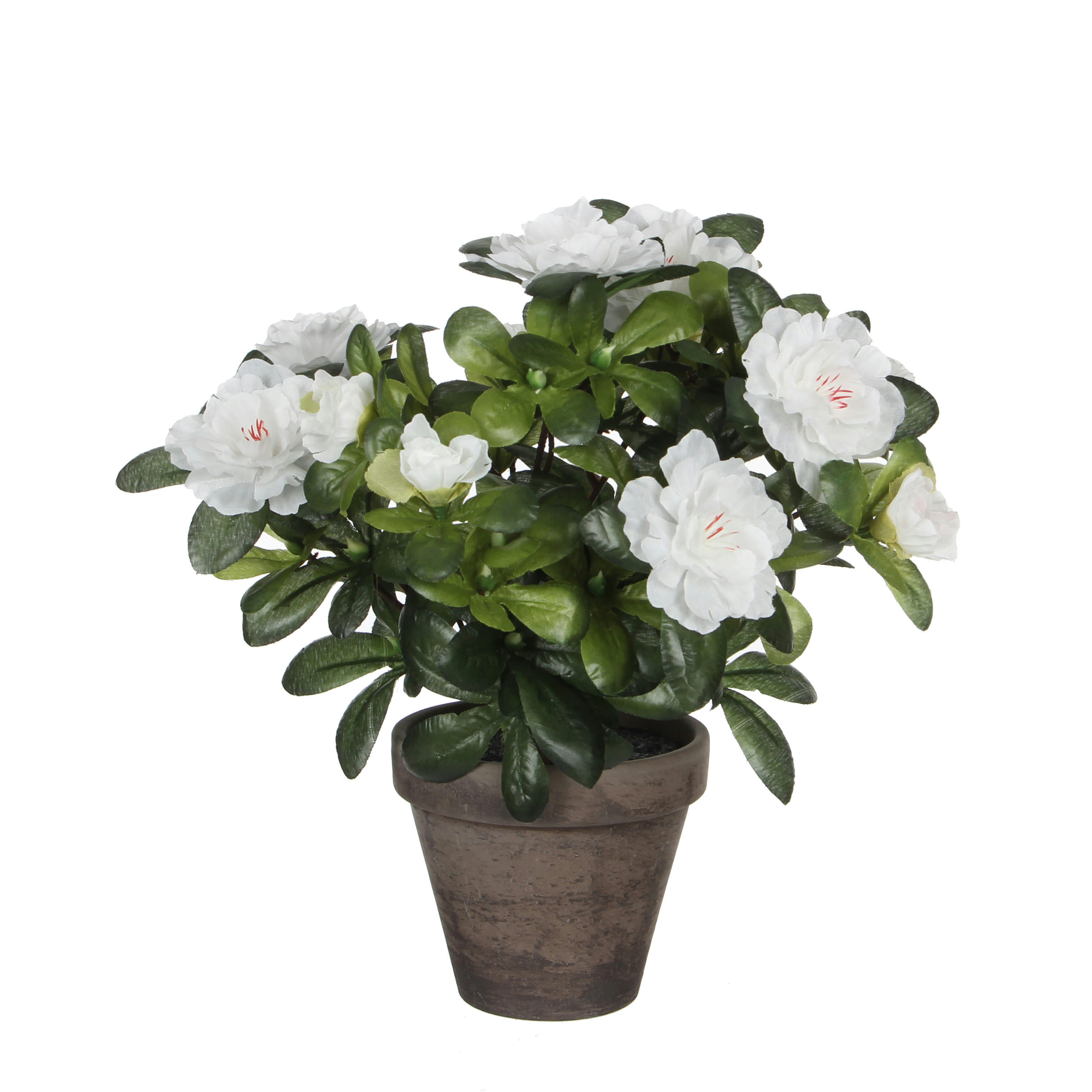 - Azalea artificielle blanc en pot H27