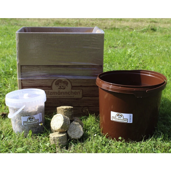 Bio Waldpilzbeet Austernpilz, für den Garten